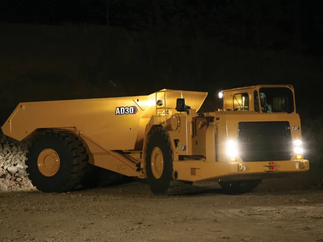 AD30 Cat