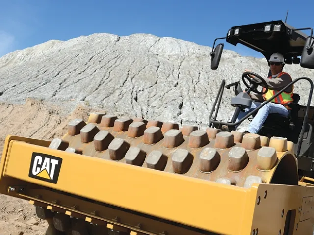 CP54B Cat
