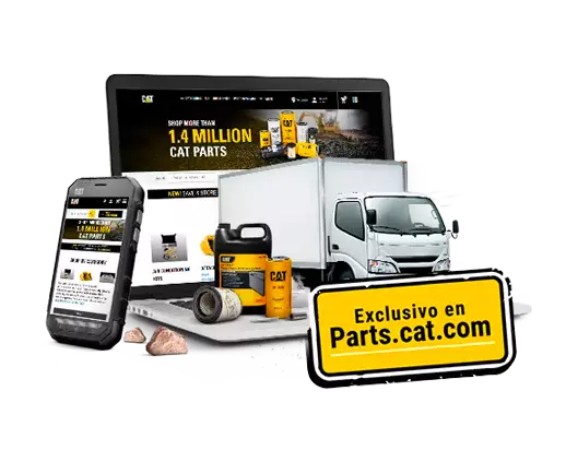 Envío a domicilio Gratis Cat